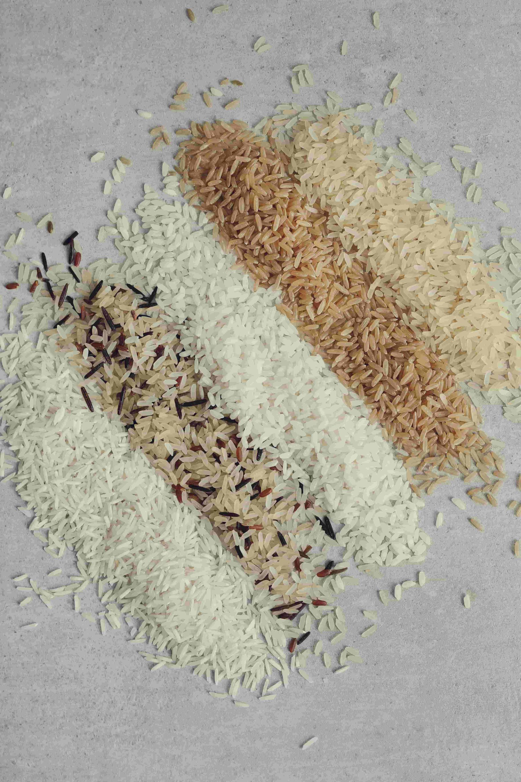 various-type-rice-min (1)